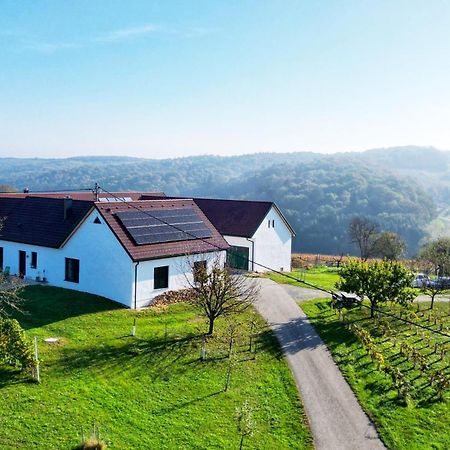 Kaeferberghof Im Burgenland, Komfortzimmer Mit Fruehstueck, Bed & Breakfast, Urlaub Am Bauernhof Eltendorf Exteriör bild